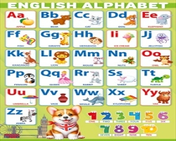 01ebe88f-fe96-11ef-8db4-d8bbc1a6d6ee_fc4c4b28-fef6-11ef-8db4-d8bbc1a6d6ee