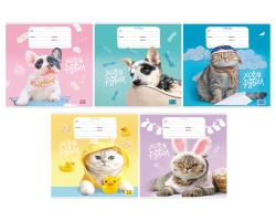 2a707d50-c9c1-11f0-8dbe-d8bbc1a6d6ee_602b177a-c9cd-11f0-8dbe-d8bbc1a6d6ee